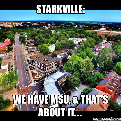 msu13