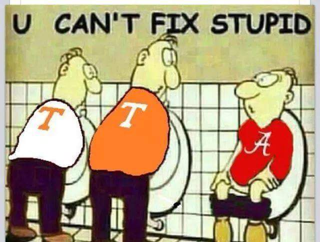 vols16