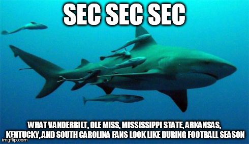 SEC Shark MEME