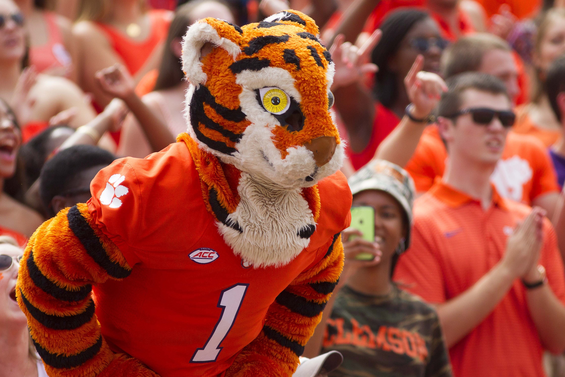 Sep 5, 2015; Clemson, SC, USA; Clemson Tigers mascot looks on during the first quarter against the Wofford Terriers at Clemson Memorial Stadium. Tigers won 49-10. Mandatory Credit: Joshua S. Kelly-USA TODAY Sports