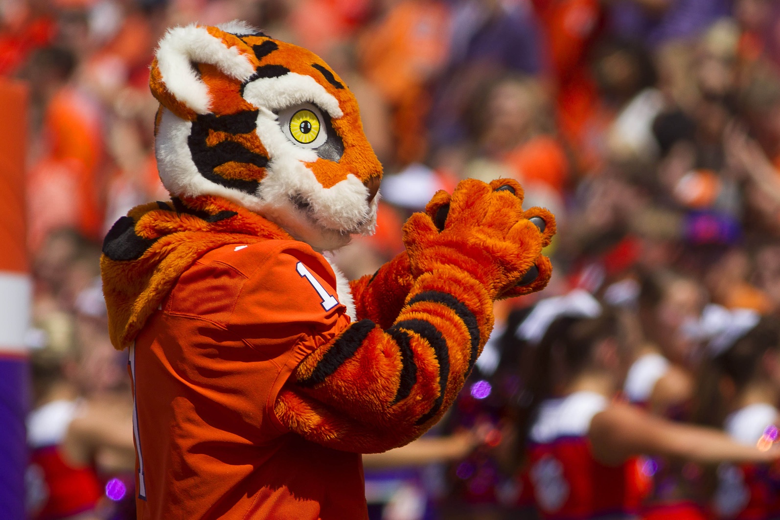 Sep 10, 2016; Clemson, SC, USA; Clemson Tigers mascot during the first quarter against the Troy Trojans at Clemson Memorial Stadium. Mandatory Credit: Joshua S. Kelly-USA TODAY Sports
