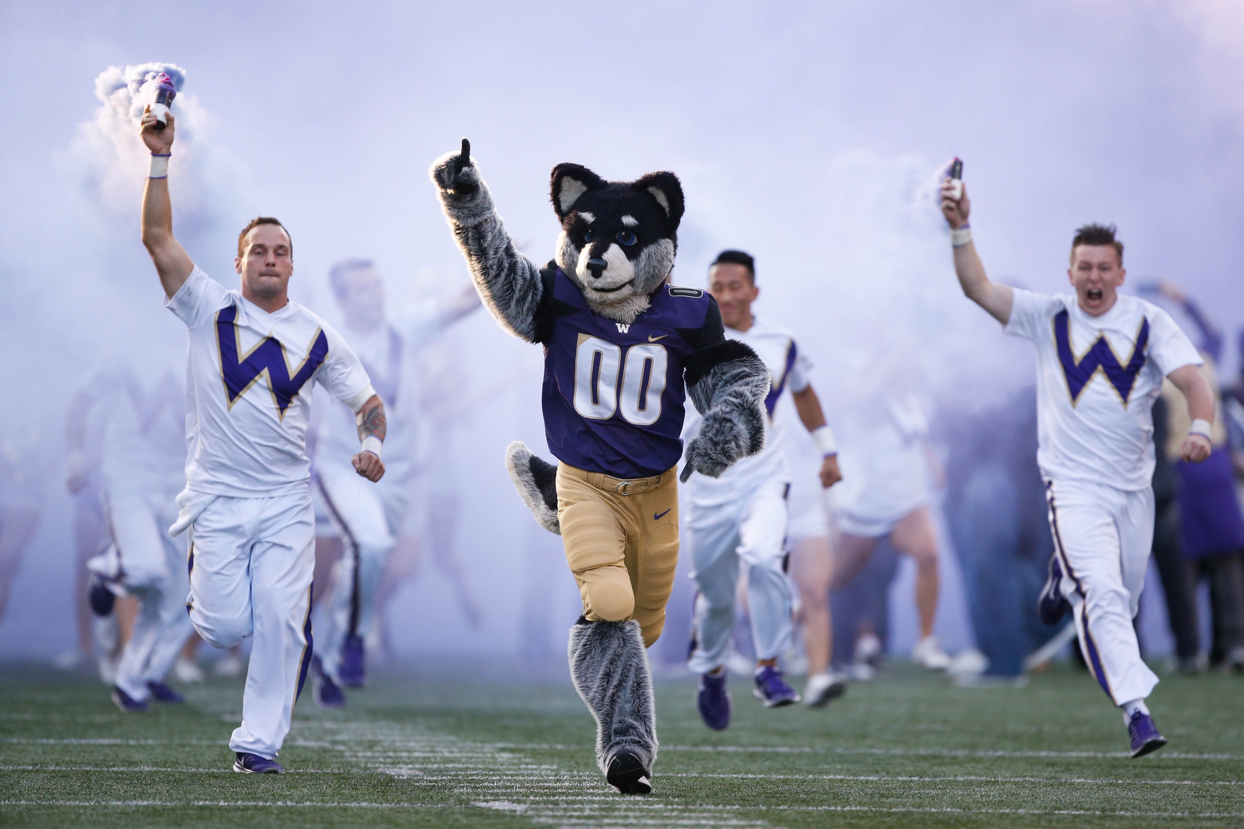 Sep 30, 2016; Seattle, WA, USA; Washington Huskies cheerleaders and Harry the Husky mascot run onto the field before the start of a game against the Stanford Cardinal at Husky Stadium. Washington won 44-6. Mandatory Credit: Jennifer Buchanan-USA TODAY Sports