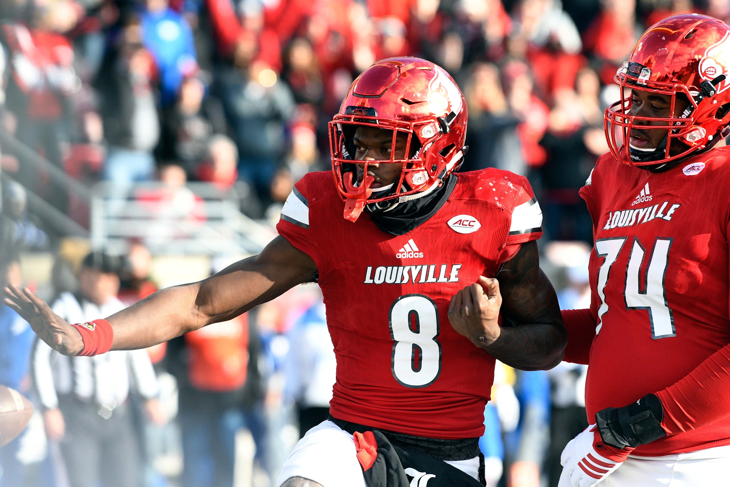 Nov 26, 2016; Louisville, KY, USA; Louisville Cardinals quarterback Lamar Jackson (8) strikes a pose after scoring a touchdown against the Kentucky Wildcats during the second half at Papa John's Cardinal Stadium. Kentucky defeated Louisville 41-38. Mandatory Credit: Jamie Rhodes-USA TODAY Sports