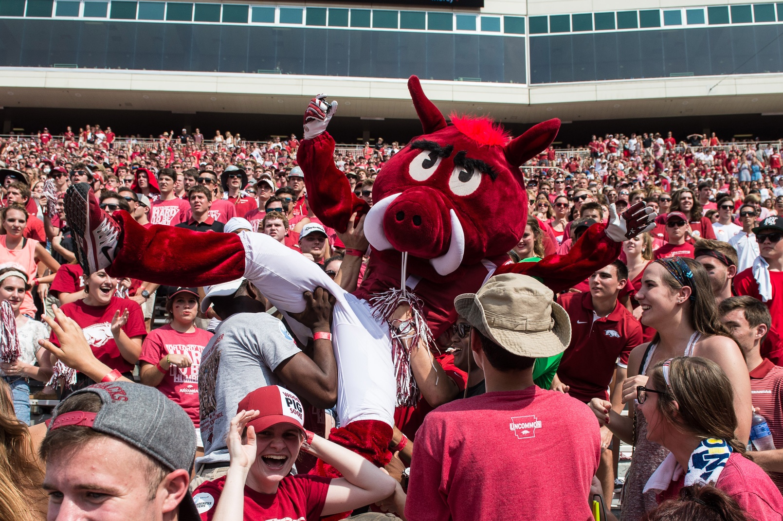 Sep 5, 2015; Fayetteville, AR, USA; The Arkansas Razorbacks mascot crowd surfs with the fans during the game between the Razorbacks and the UTEP Miners at Donald W. Reynolds Razorback Stadium. The Razorbacks defeat the Miners 48-13. Mandatory Credit: Jerome Miron-USA TODAY Sports