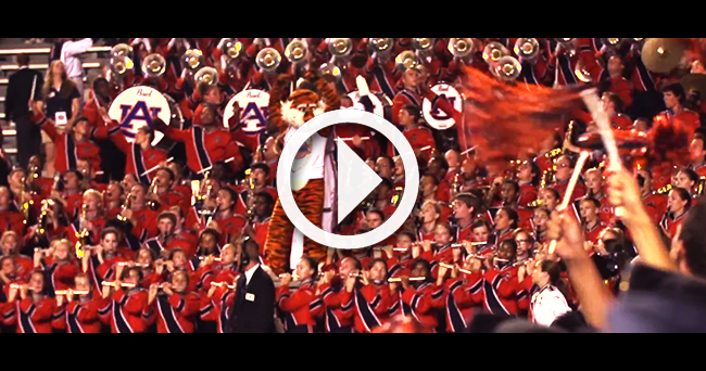 Auburn The Jungle Video