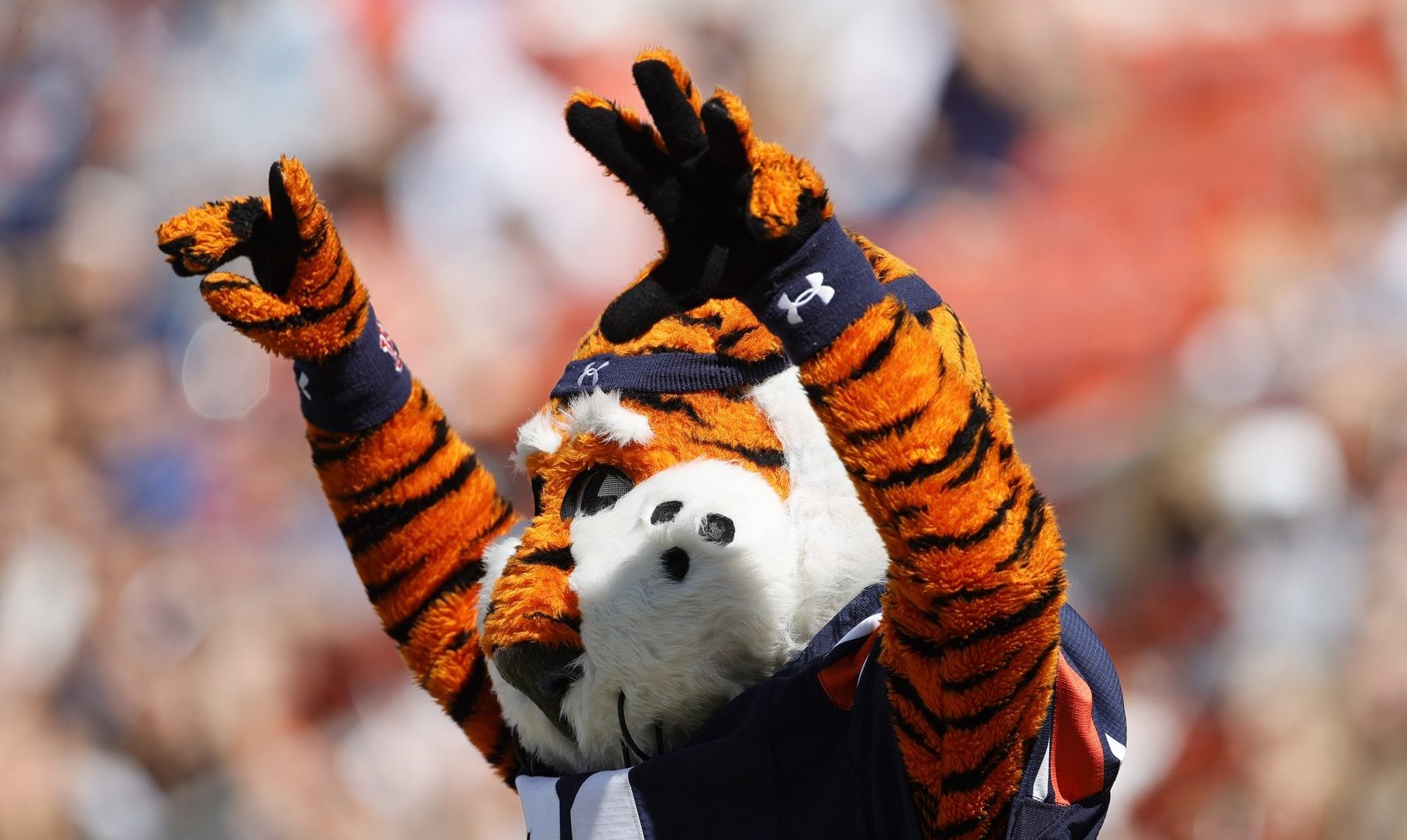Auburn flips blue-chip 2026 quarterback away from Big Ten contender