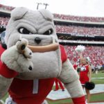 Georgia mascot Hairy Dawg.