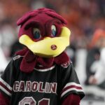 South Carolina mascot 'Cocky.'