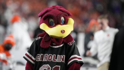 South Carolina mascot 'Cocky.'