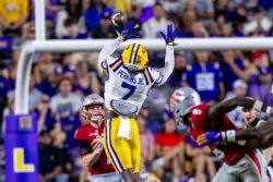 Harold Perkins Jr. during an LSU game in 2024.