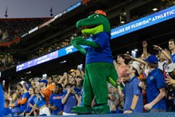 Florida football mascot at a game vs. LSU in 2024.