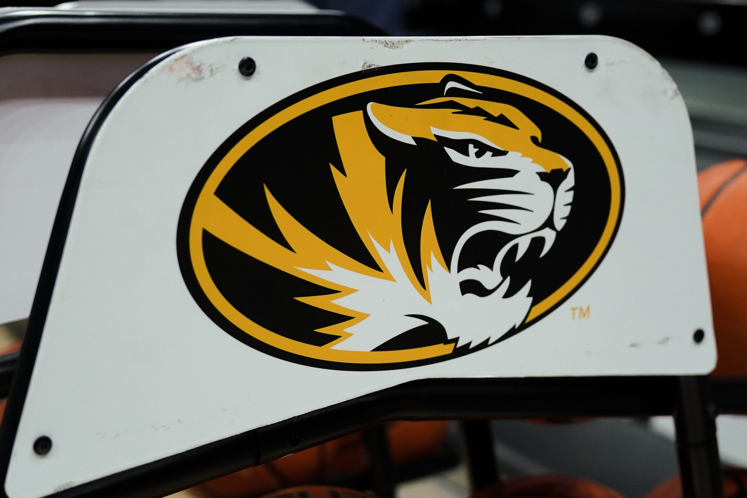 Mizzou forward enters name into transfer portal after 5th season