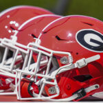 Georgia Bulldogs helmet in a line.