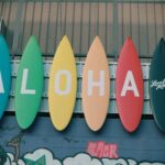 Photo by little plant on Unsplash