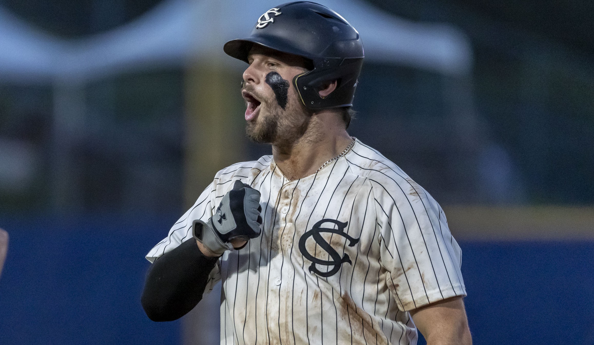 South Carolina Baseball News - Saturday Down South