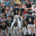Wake Forest baseball celebrates.