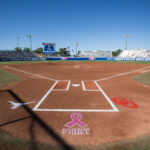 General view from Women's College World Series.