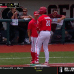 Georgia baseball in action.