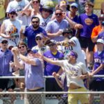 LSU baseball fans.