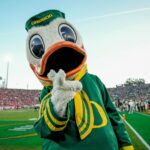 Oregon Duck