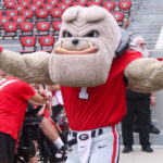 Georgia football mascot.