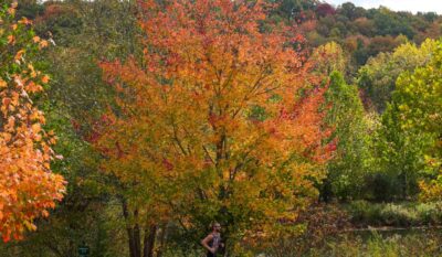 West Virginia online casino bonus