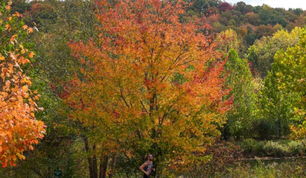 West Virginia online casino bonus