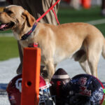 Juice Kiffin before a game.