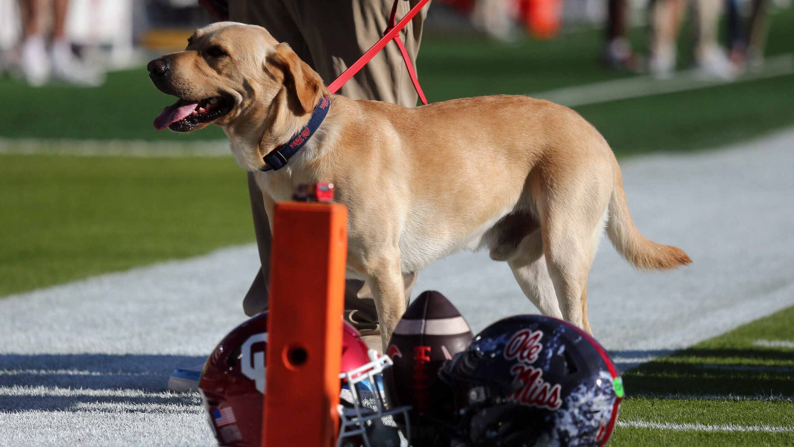 Lane Kiffin reacts to hilarious SEC Shorts skit poking fun at Juice Kiffin controversy