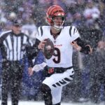 Cincinnati Bengals QB Joe Burrow.