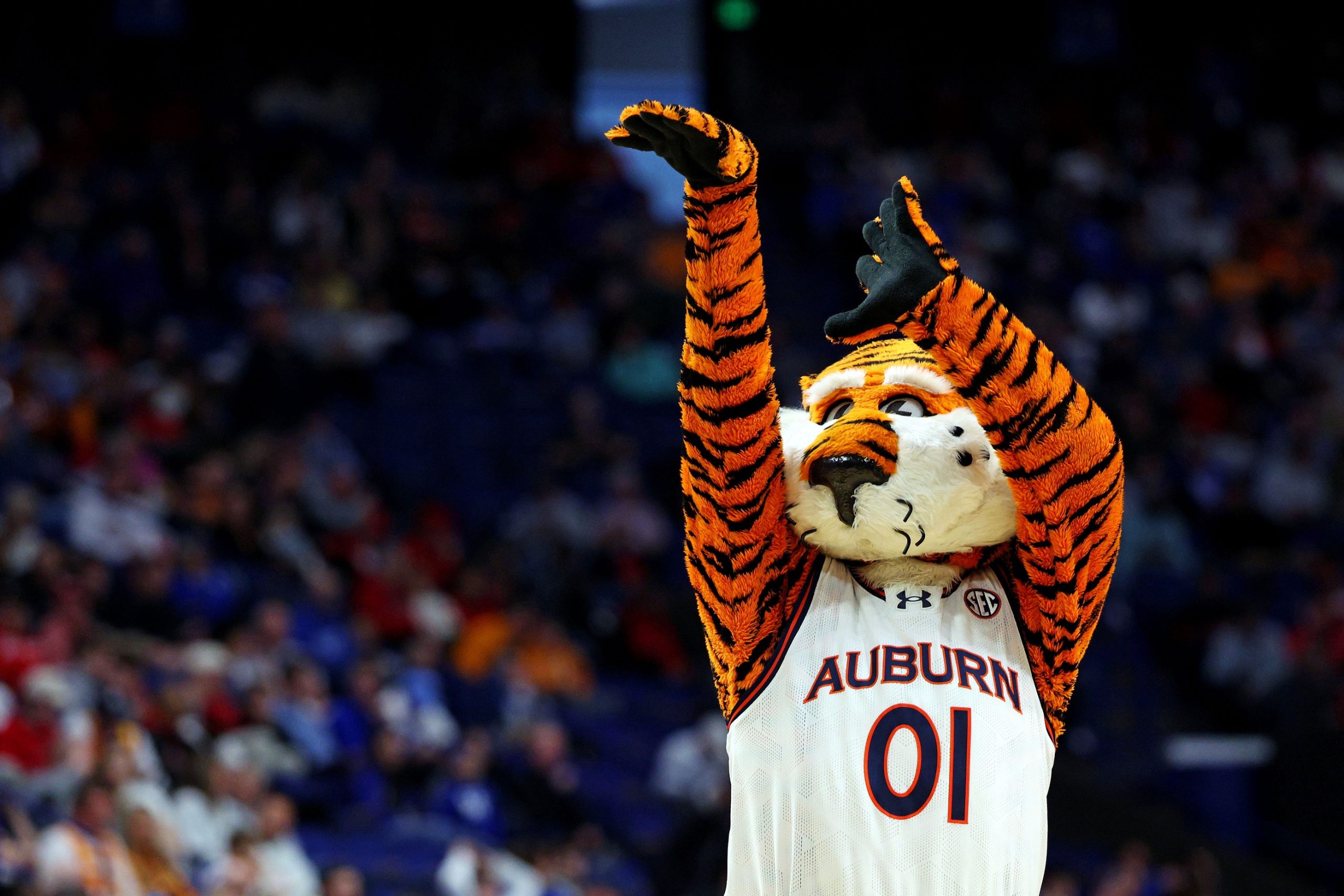 Auburn beats Alabama to win wheelchair basketball national championship