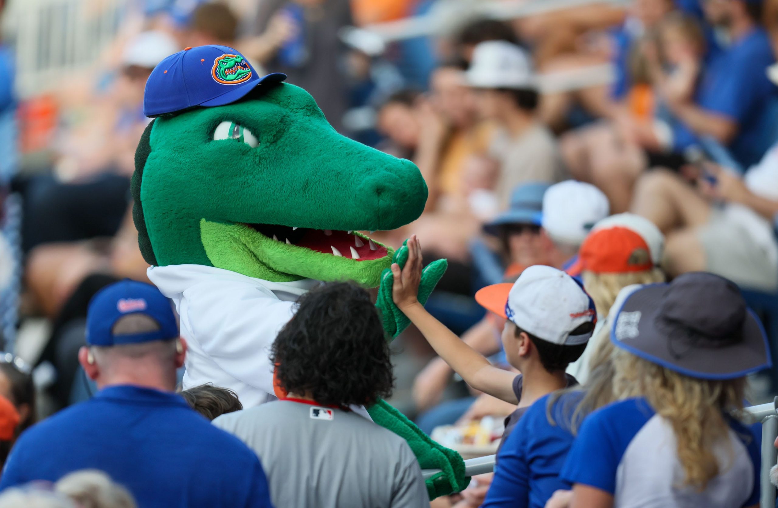 Florida lands commitment from elite pitcher, Freshman All-American Florida lands commitment from elite pitcher, Freshman All-American