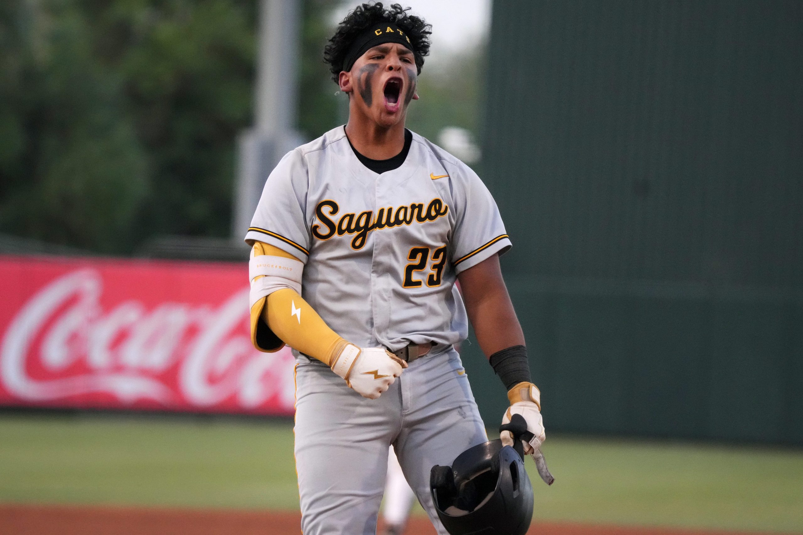 South Carolina prize catcher commit withdraws from MLB Draft, will play for Gamecocks South Carolina prize catcher commit withdraws from MLB Draft, will play for Gamecocks