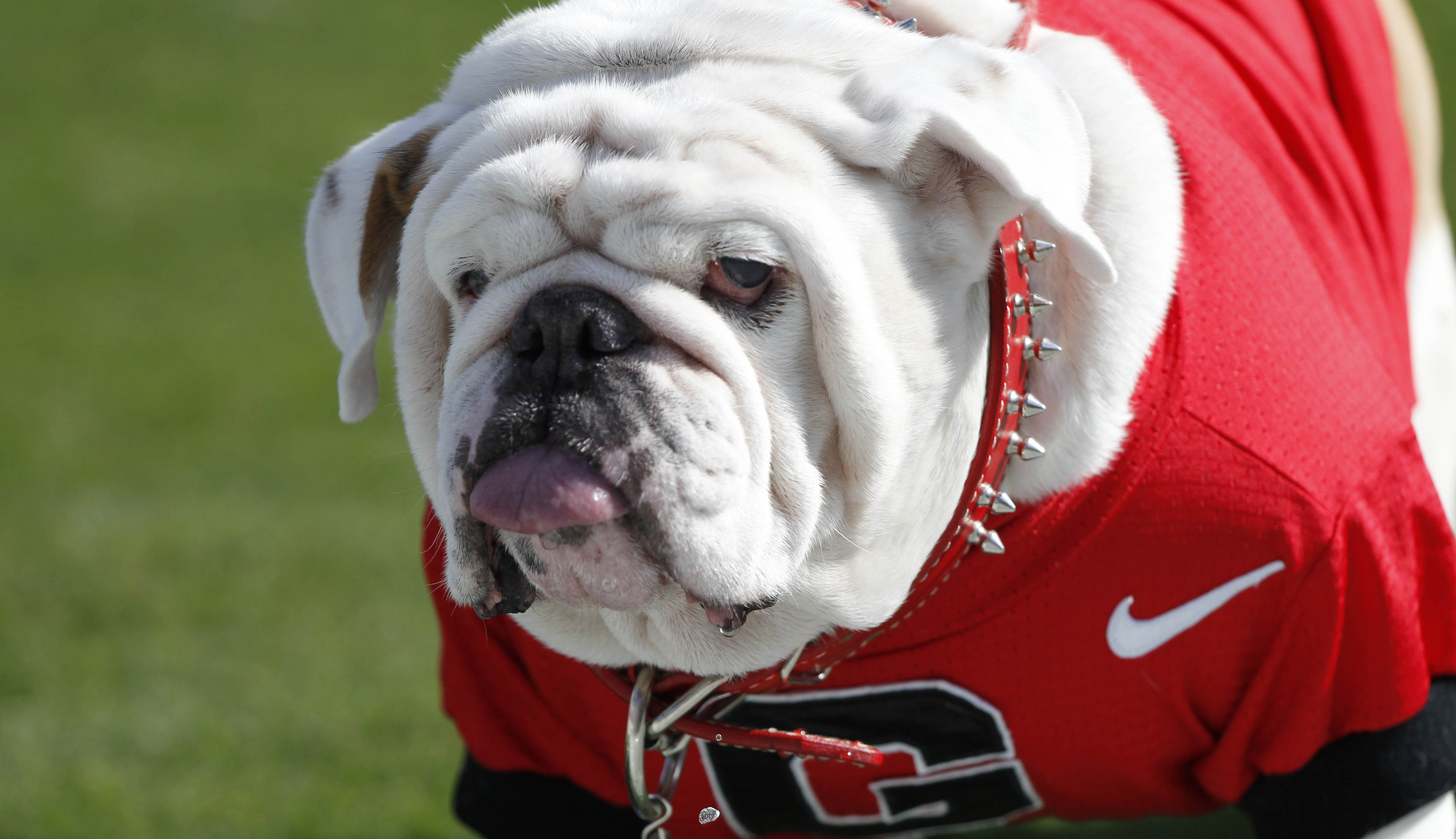 20 interesting facts about football