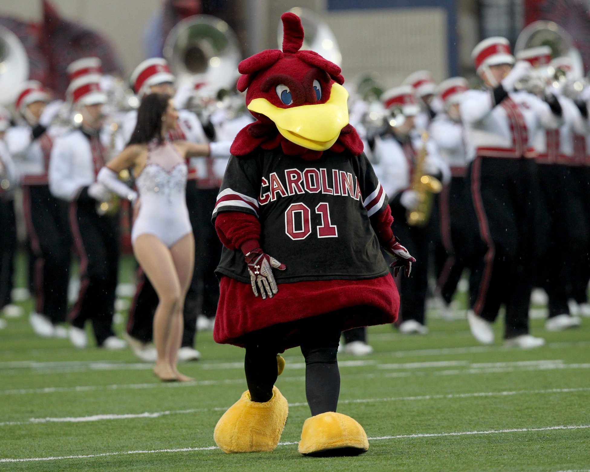 20 Interesting South Carolina Football Facts