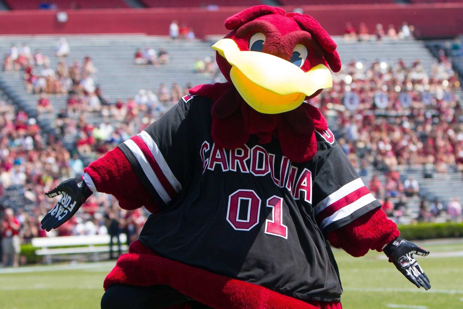 SEC mascot nicknames ranked by uniqueness