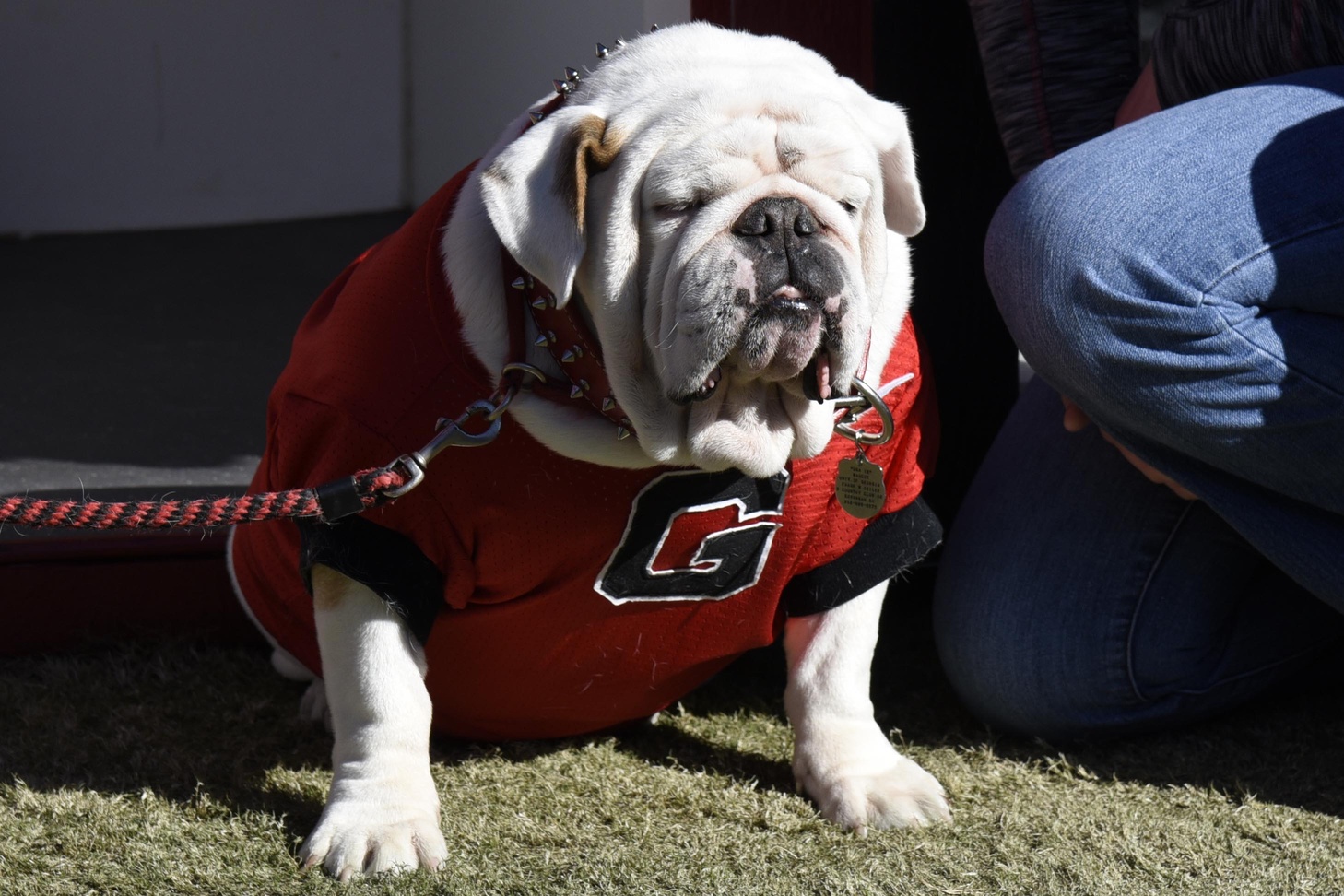 Recently retired Uga IX has passed away