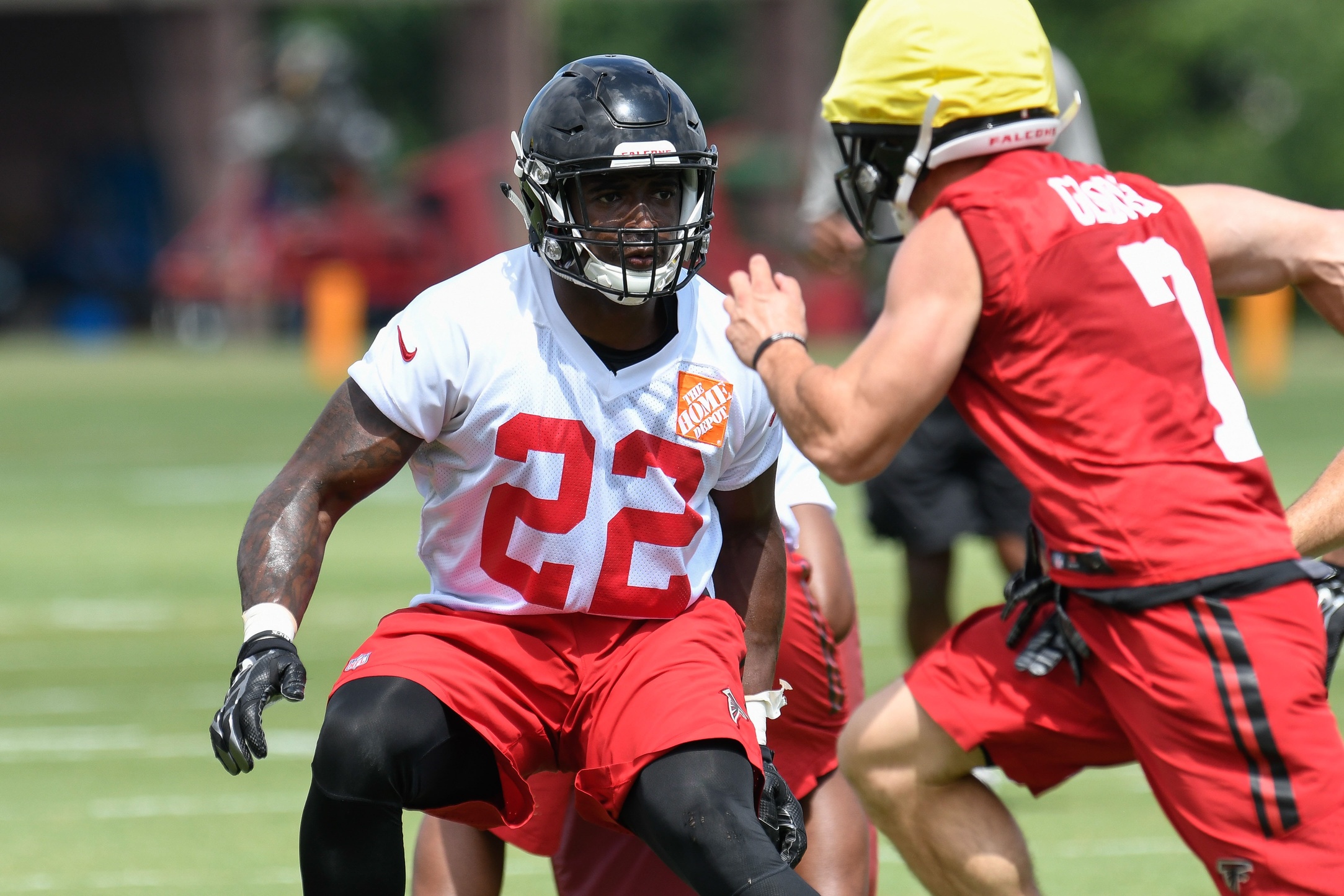 Who has coached the atlanta falcons information