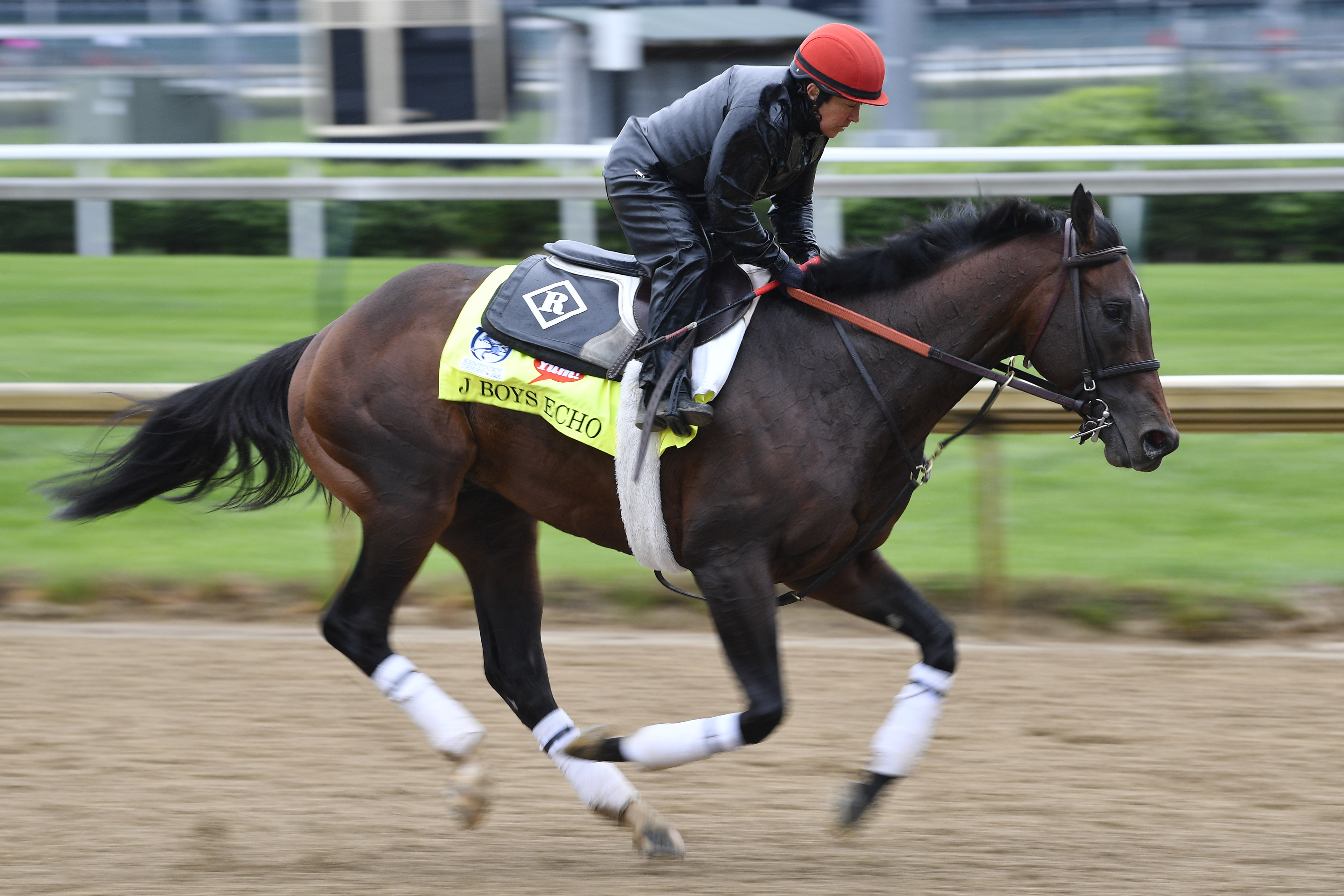 A Kentucky Derby horse for every SEC team