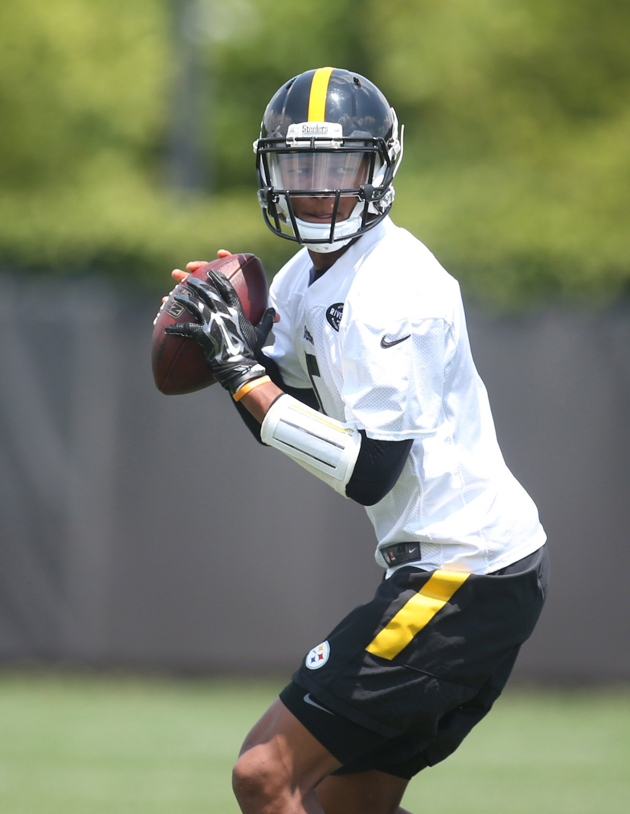 Joshua Dobbs named starter for Steelers' preseason game against Giants