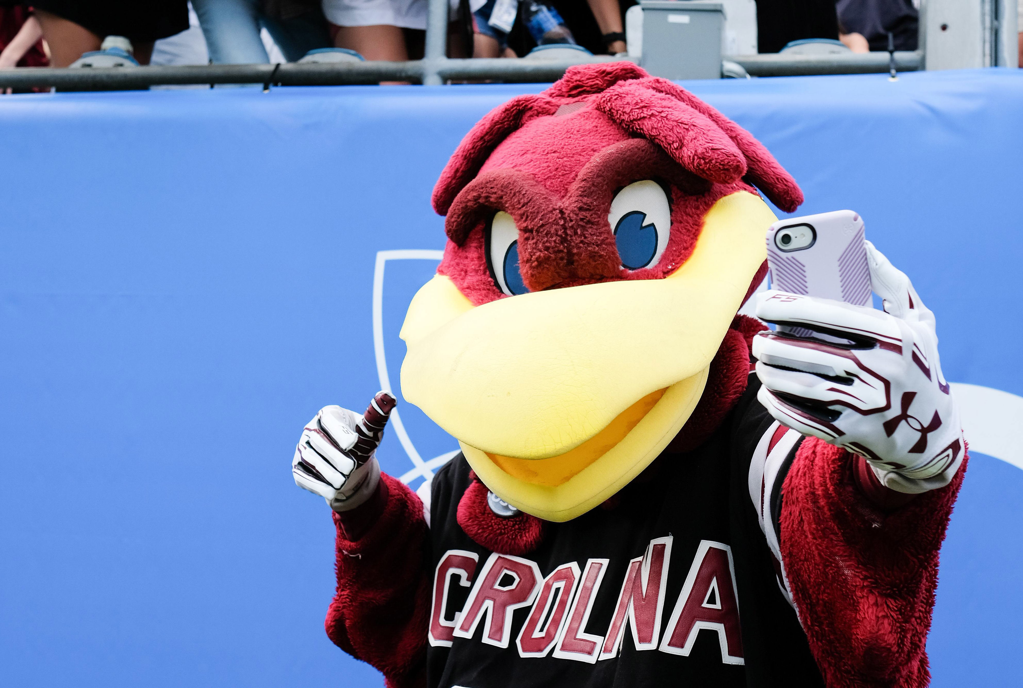 LOOK South Carolina unveils new oncampus mascot statue