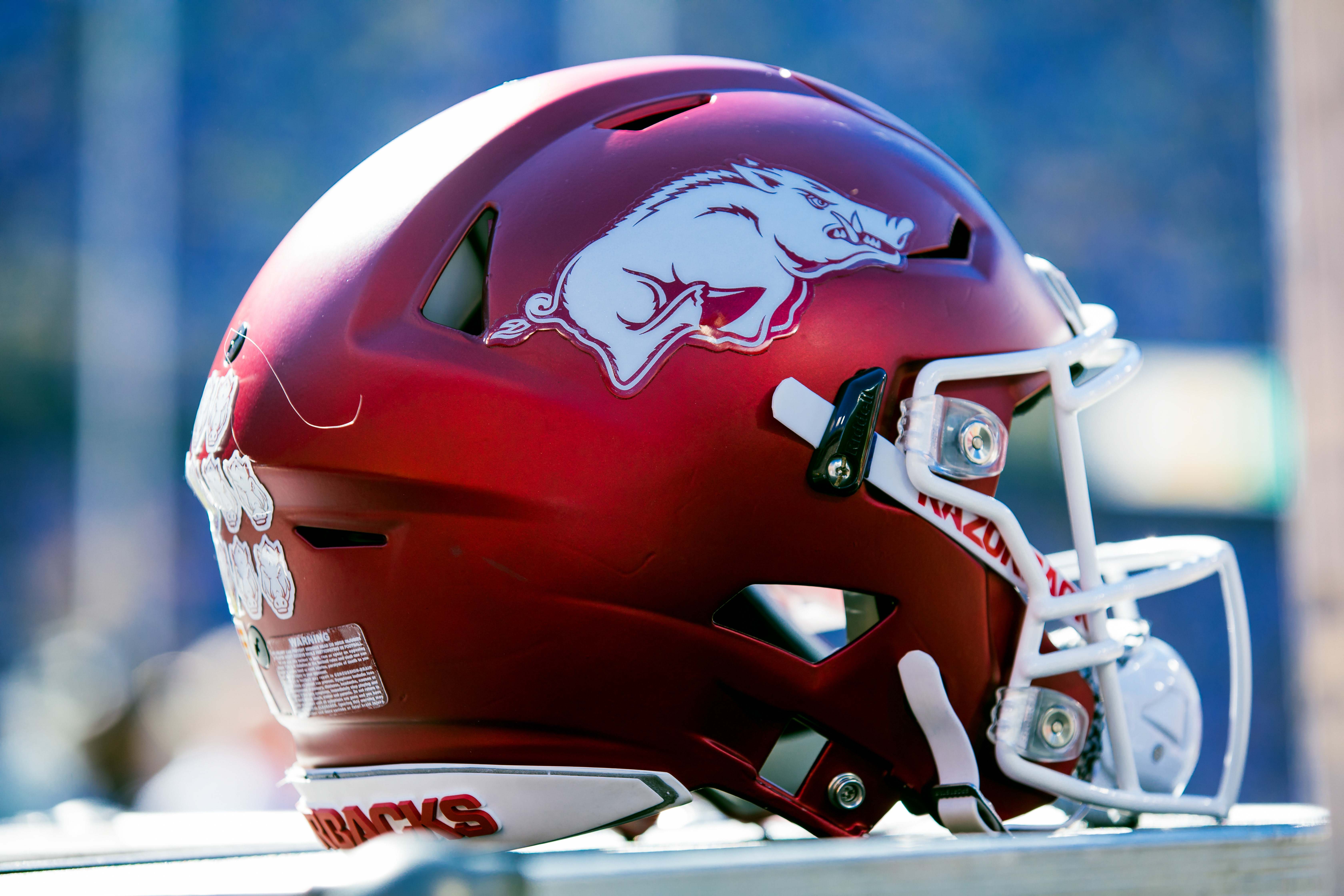 LOOK Arkansas unveils 'Wild Band of Razorback Hogs' statue outside