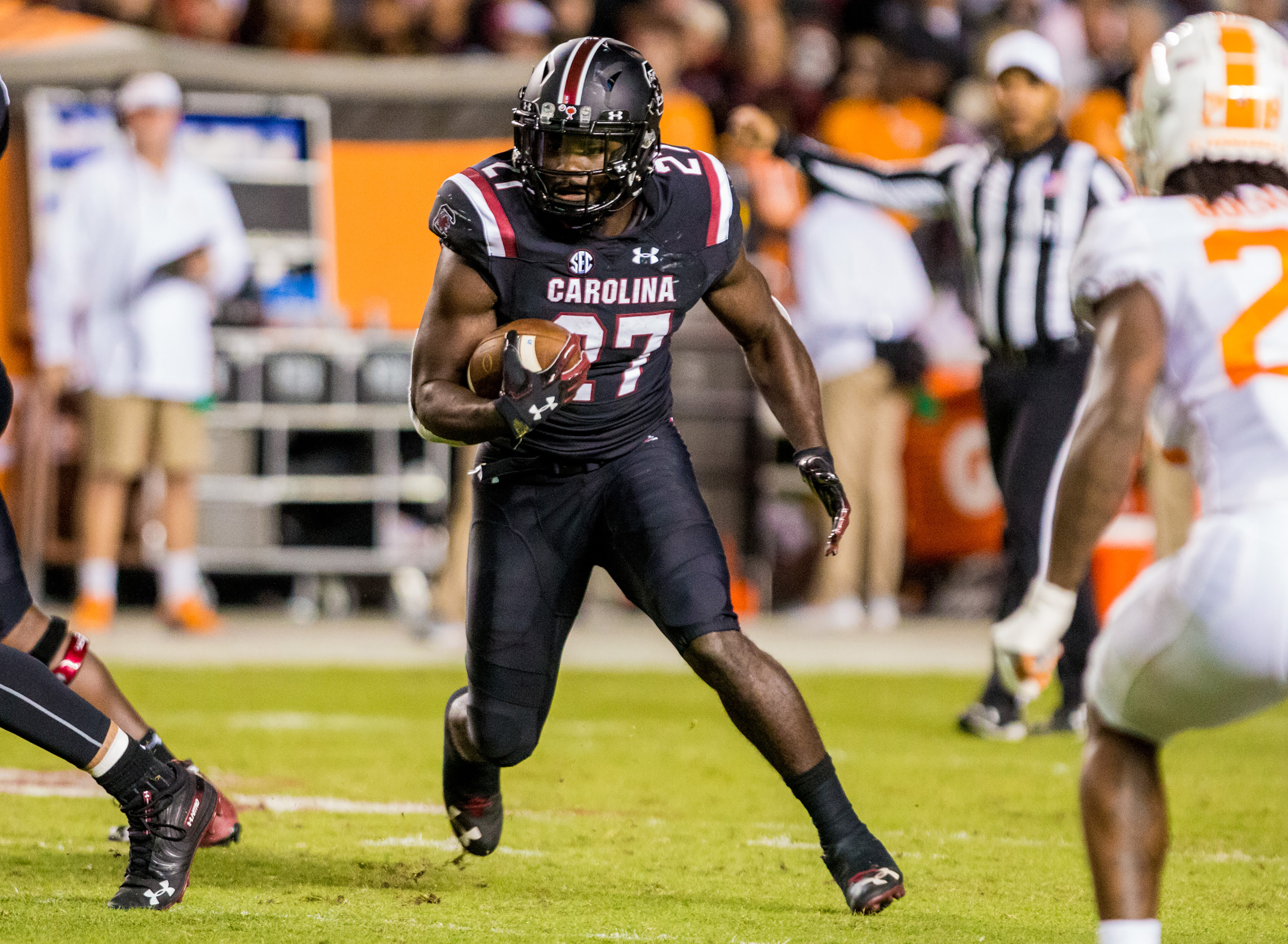 Former South Carolina RB Ty'Son Williams picks new school for 2019 season