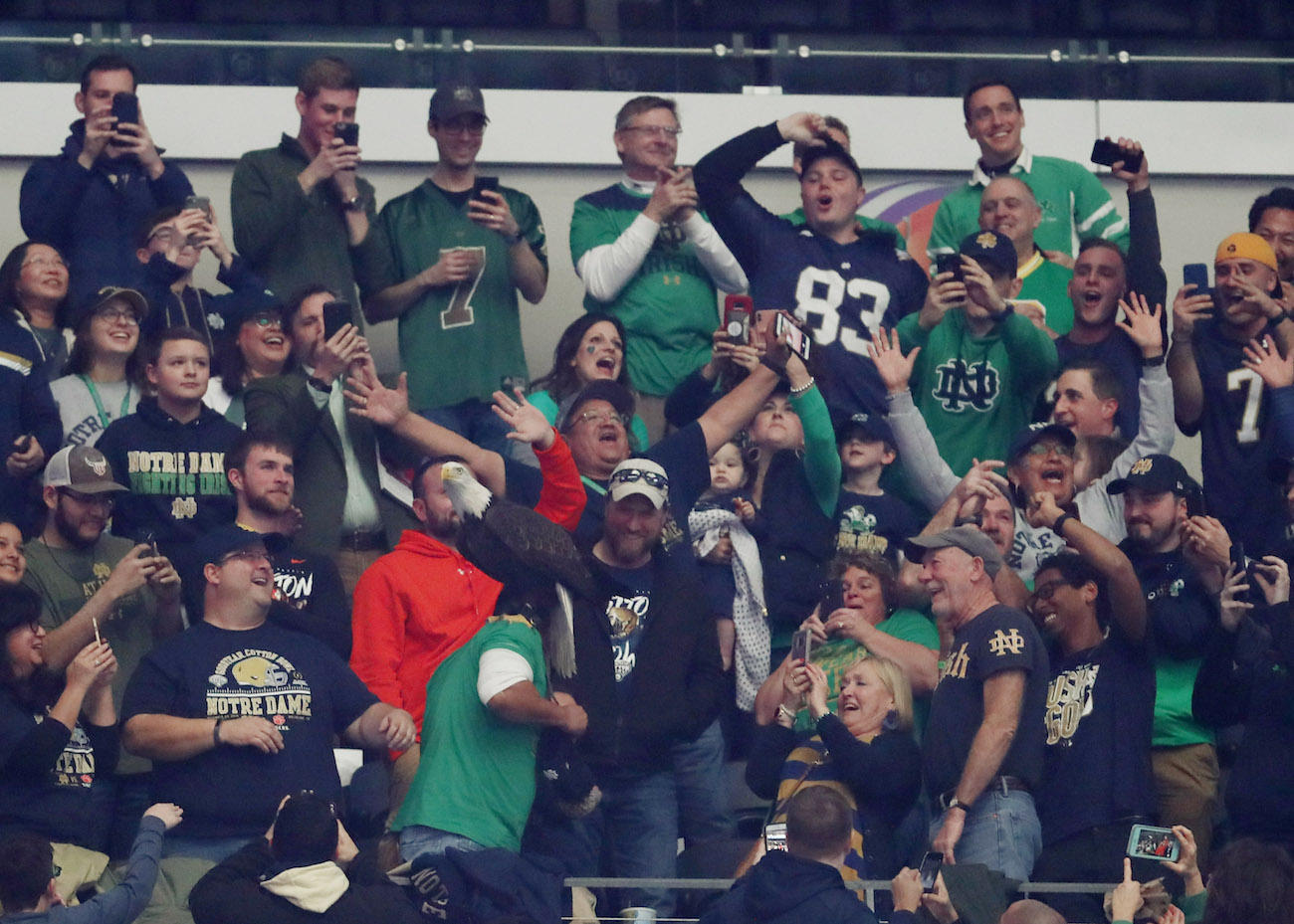 LOOK Good omen? Bald eagle lands on Notre Dame fan during national