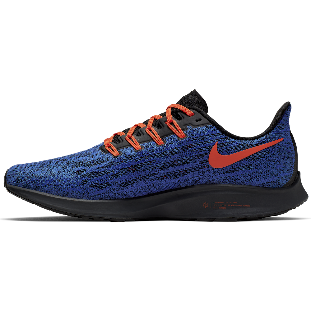 Florida Gators special edition Nike shoes on sale now