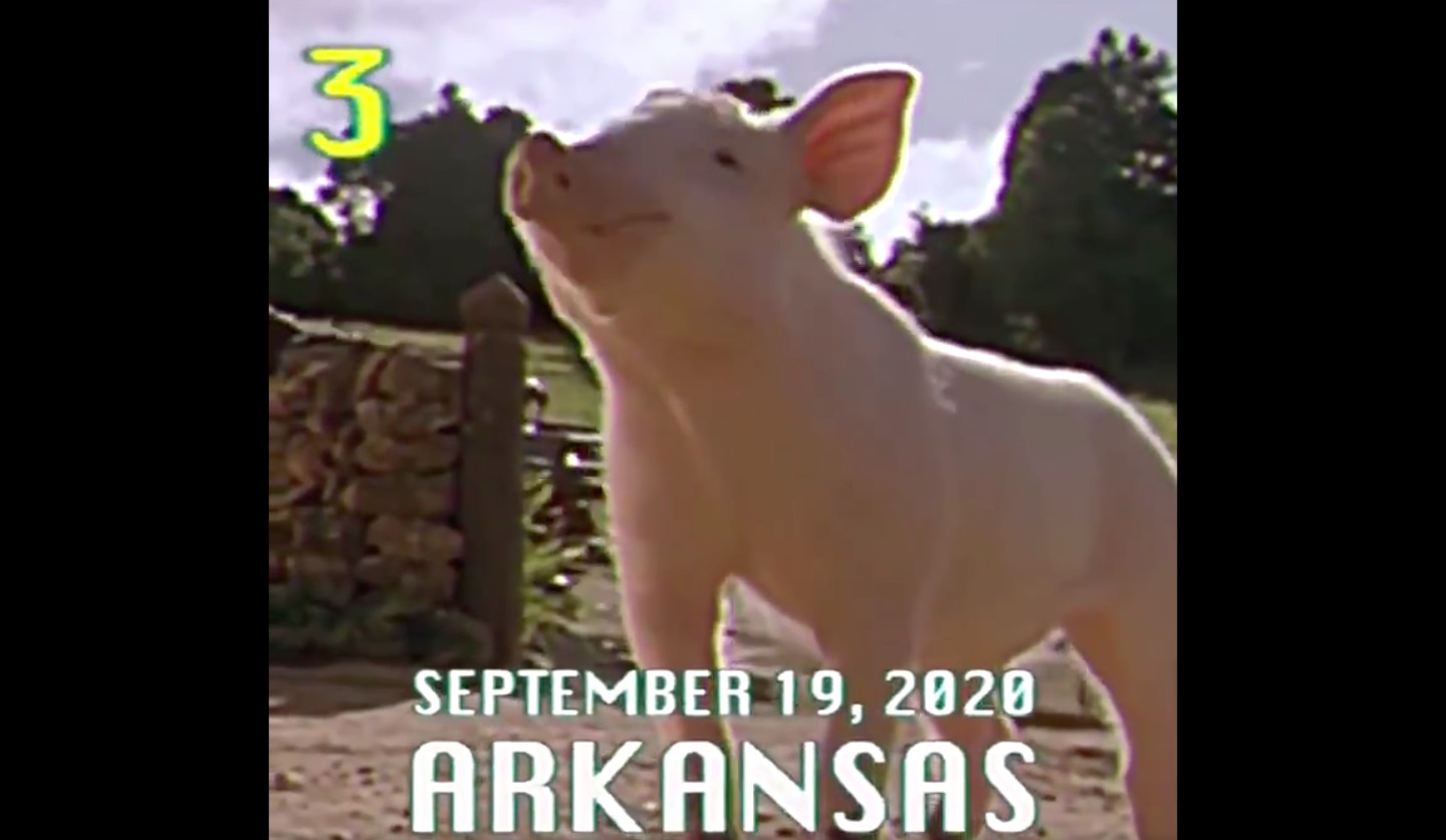 WATCH: Mississippi State's 2020 schedule release video is the best