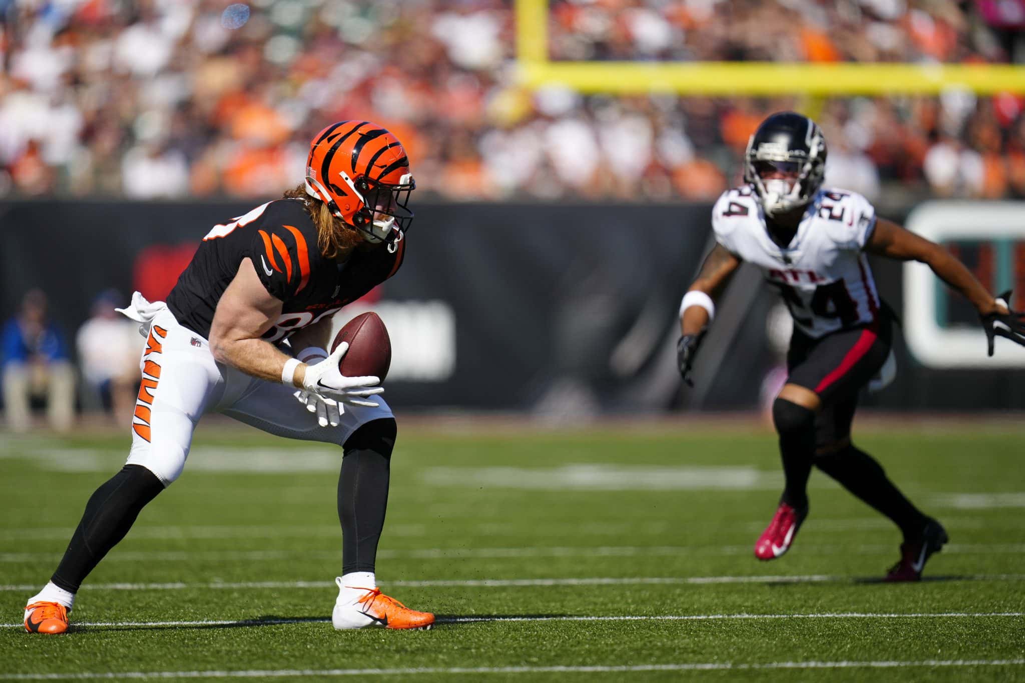 h hurst bengals