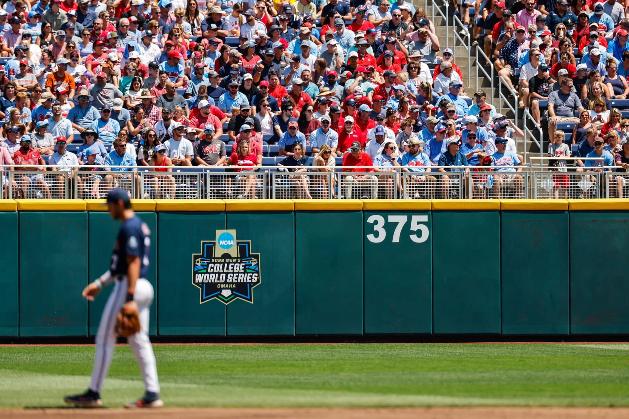 Virginia Cavaliers 2023 NCAA Men's Baseball College World Series