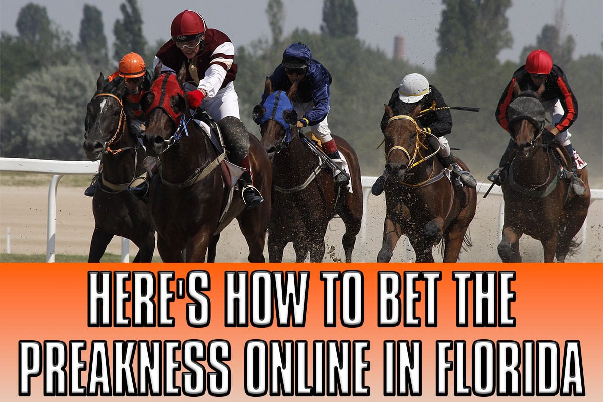 Here's How to Bet the Preakness Online in Florida